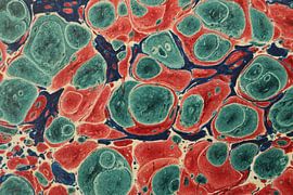 Digitale Kunst Muster farbig Marmoriert Zellen von Michael Godlewski