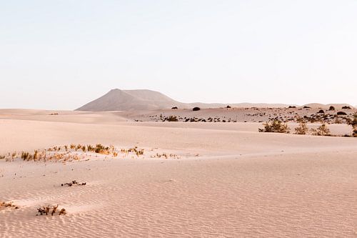 Parc de dunes à Fuertenventura, îles Canaries