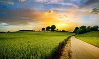 Landschap met dieptezicht