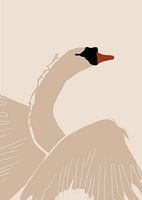 2 swans 1 dance, male