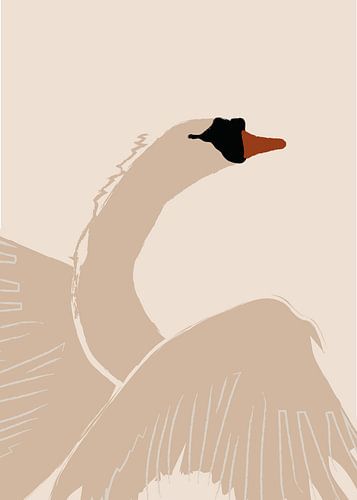 2 zwanen 1 dans, male