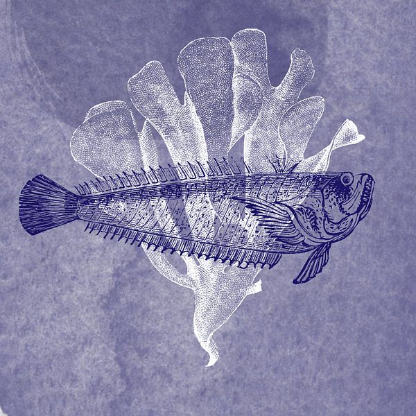 Delftsblauwe vis II van Jadzia Klimkiewicz