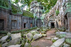 Temple Ta Prohm, Angkor Wat
