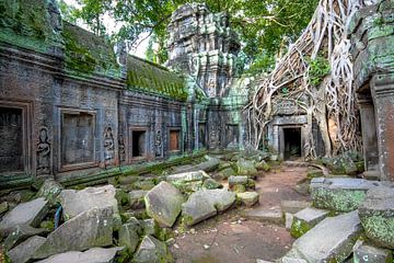 Ta Prohm tempel, Angkor Wat van Jan Fritz