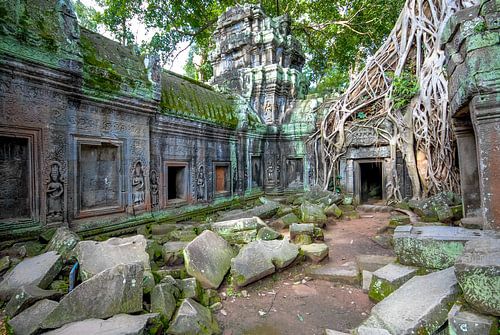 Ta Prohm tempel, Angkor Wat