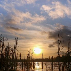 Het laatste zonlicht schijnt over het water.Op van cindy kuiphuis