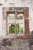 Fenster auf Madeira