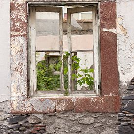 Oud raam van Harm A