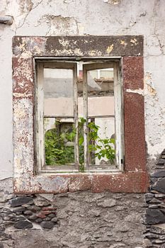 Fenêtre sur Madère