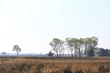 Kootwijk, Veluwe