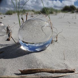 Wrâldbaltsje in de duinen van Terschelling van Nynke van der Ploeg