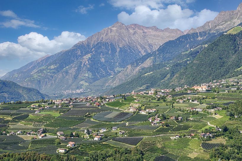 Blick von Schenna nach Dorf Tirol von Peter Eckert