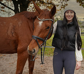 Training with the bay Oldenburg mare on a riding arena