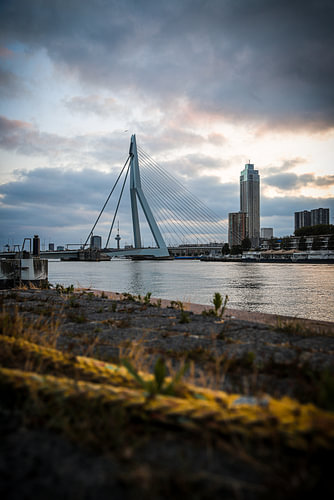 Het Rotterdamse plaatje
