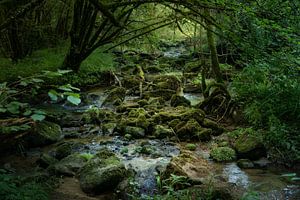 La vallée de l'Orne (Normandie)