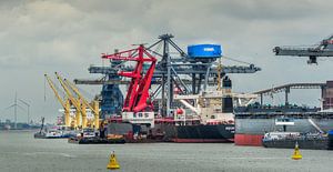 Haven van rotterdam