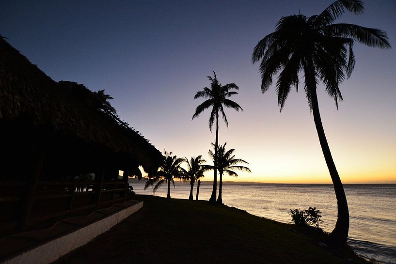 Süßes von einem tropischen Abend von Frank Photos