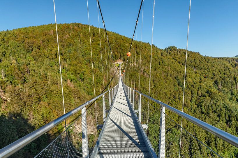 Hängebrücke über der Schlucht von Markus Lange