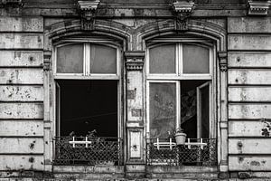 Die Fassade mit Fenster in Budapest