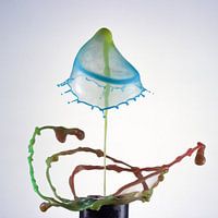 Liquid ART - Rotation