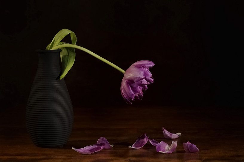 Still life Tulip by Moonheart Artworks