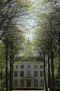 Start of spring van Patrick Riemens thumbnail