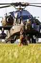 Een hond van de Luchtmacht beveiliging beveiligd een Apache helikopter van Jimmy van Drunen thumbnail