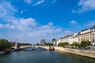 Blick über die Seine in Paris, Frankreich von Rico Ködder Miniaturansicht