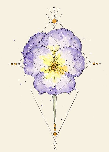 Femininer Fokus | Das Veilchen von Kirsten Jense Illustraties.