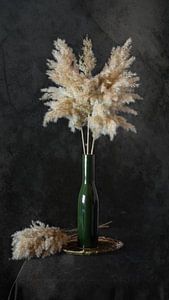 Nature morte avec plumes sur Danny den Breejen