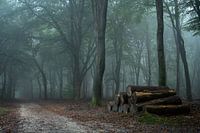 Un matin d'octobre.....