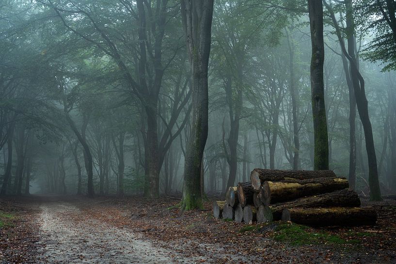 An einem Oktobermorgen..... von Peter Korevaar