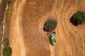 Chickpea harvest from the air by Ewold Kooistra