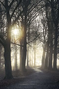 Hemmensebos Teil 57 von Tania Perneel