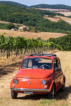 Fiat 500 in vineyard (5) by Jolanda van Eek en Ron de Jong