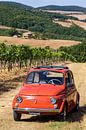 Fiat 500 in vineyard (5) by Jolanda van Eek en Ron de Jong thumbnail