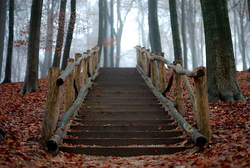 Park Sonsbeek part 4