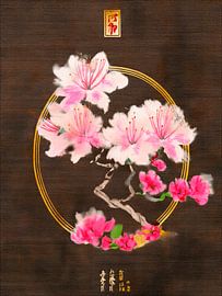 Japandi : fleurs de cerisier japonaises (Sakura) sur une texture sombre