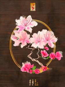 Japandi: Japanische Kirschblüte (Sakura) auf dunklem Hintergrund