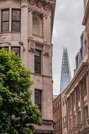 Alt vs. Neu von Eline Huizenga