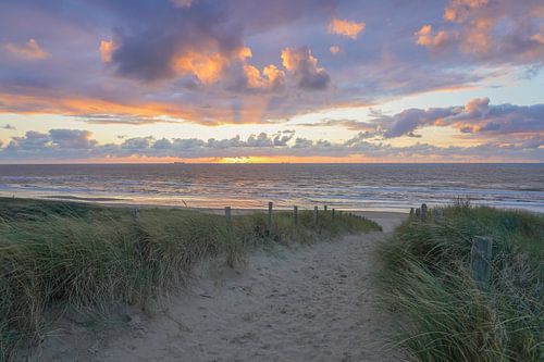 Dunes, plage et mer sur la côte néerlandaise