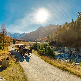 Paardenkoets in het Roseg dal, Pontresina, Graubünden, Engadin, Zwitserland, van Rene van der Meer