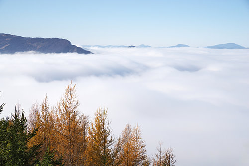 Inversionswetter - Berge und goldene Herbstbäume erheben sich über ein Meer aus Nebel