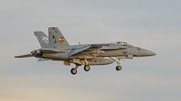 U.S. Navy Boeing F/A-18E Super Hornet from VFA-87. by Jaap van den Berg thumbnail
