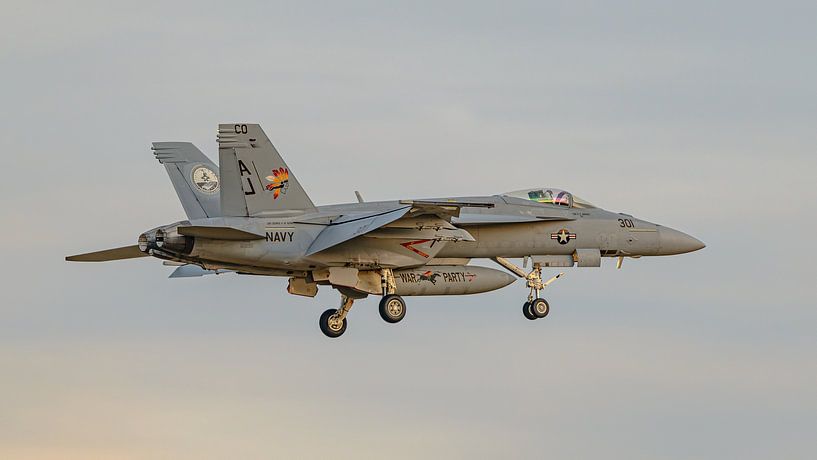 U.S. Navy Boeing F/A-18E Super Hornet from VFA-87. by Jaap van den Berg