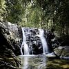 Friedlicher Wasserfall umgeben von üppigem Wald von Frank Photos