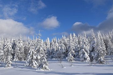 The top of the snow-capped mountain by Claude Laprise