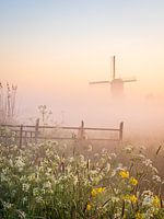 Ochtendgloren bij de Broekmolen in het voorjaar