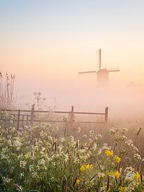 Dawn at the Broekmolen in spring by Elise van den Boogaart