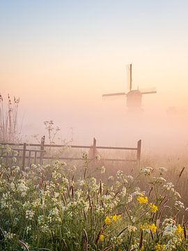 Ochtendgloren bij de Broekmolen in het voorjaar van Elise van den Boogaart